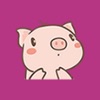 小猪找货app