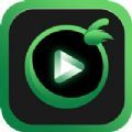 绿箩视频相册加密app下载 1.0.0