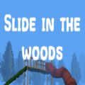 森林里的滑梯恐怖游戏安装官方版（slide in the woods） v1.0