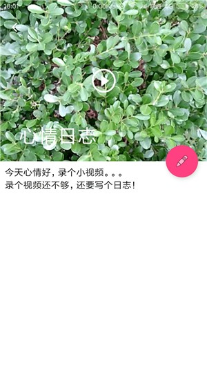 记忆空间安卓版