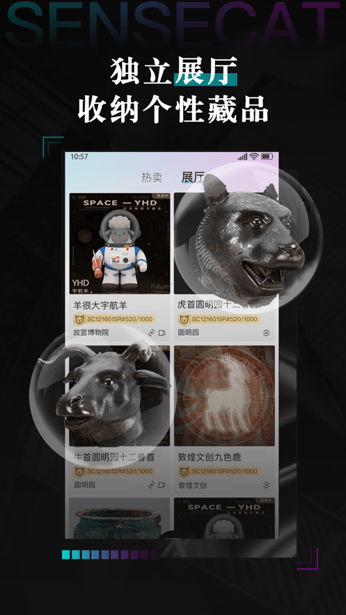 数字猫