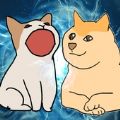 波波猫 vs柴犬