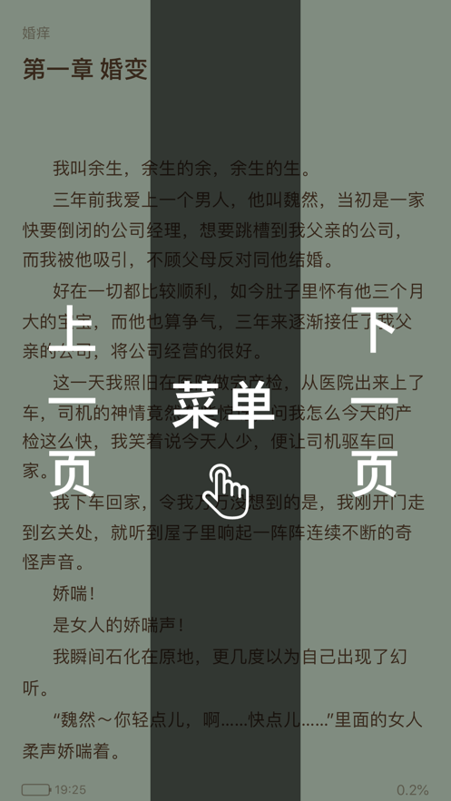 皮皮书小说app